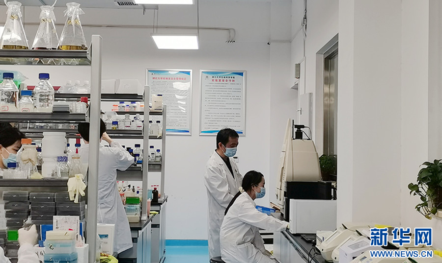 聚焦高質量發展 加速產學研用融合，湖北競逐合成生物產業新藍海