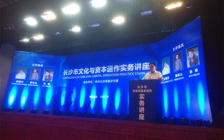 專家論道長沙 文化資本融合，借力新三板與互聯(lián)網共舞